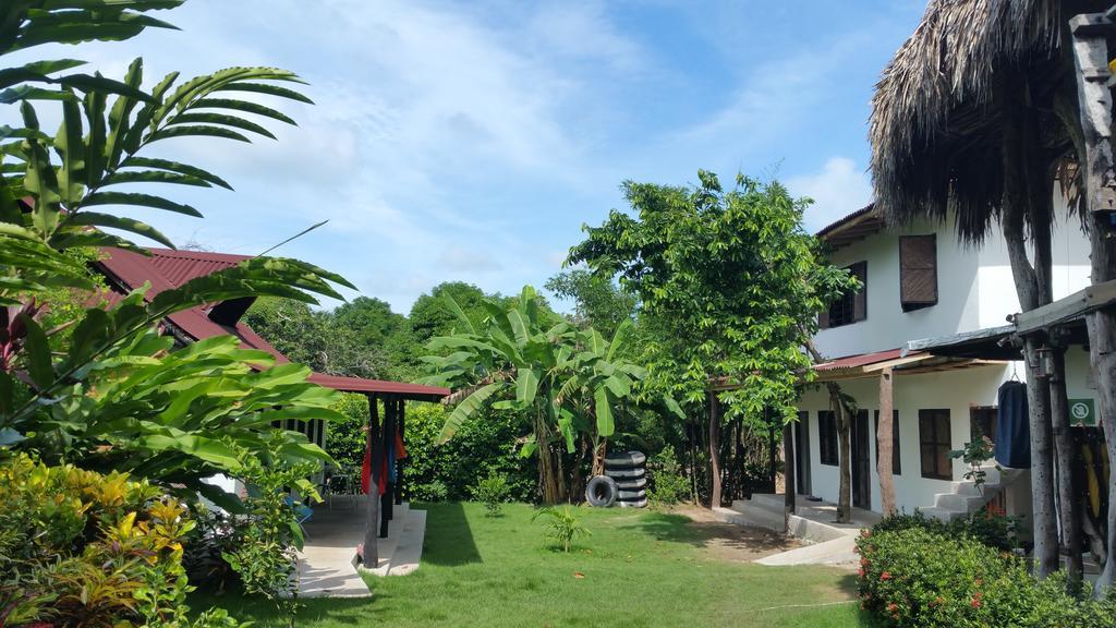 Hostal La Media Luna פאלומינו מראה חיצוני תמונה